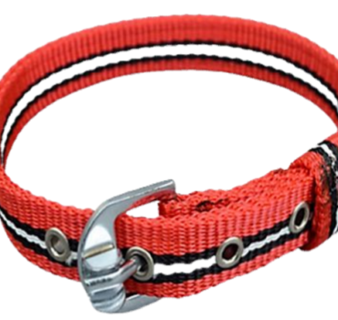 IMPORTED HEAVY RADIUM  DOG COLLAR FOR SMALL DOGS (S) (0.75-INCH)