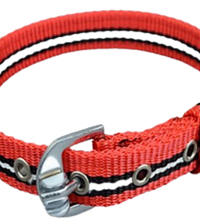 IMPORTED HEAVY RADIUM  DOG COLLAR FOR MEDIUM DOGS (M) (1-INCH)