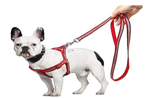 IMPORTED  HARNESS SET  10MM