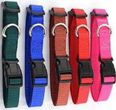 DOG NYLON CLIP COLLAR  1.25 INCH SIZE (L)