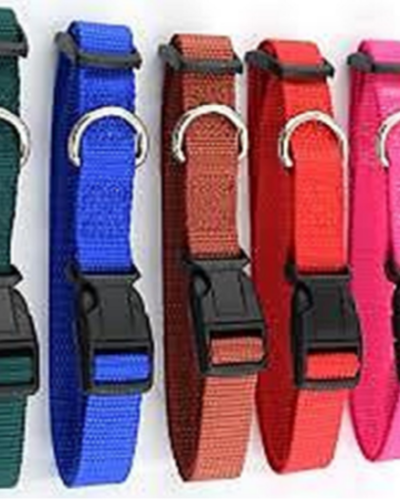 DOG NYLON CLIP COLLAR  1 INCH SIZE (M)