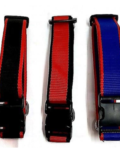 DOG PP CLIP COLLAR 1 INCH SIZE (M)