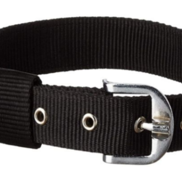 PP DOUBLE STRIP DOG COLLAR FOR LARGE DOGS (L) (1.25-INCH)