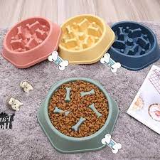 PET SLOW FEEDING BOWL (1 PCS)