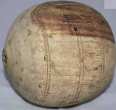 WOODEN BALL TOY